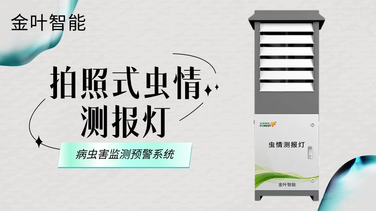 稿定智能设计202407031634(15).jpg