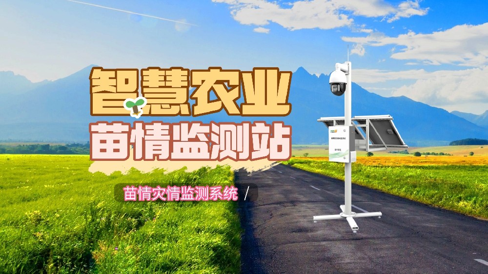 田间苗情灾情一体化自动监测系统如何保障农业生产？